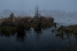 探索中国最美的湿地之一：穆希卡湿地